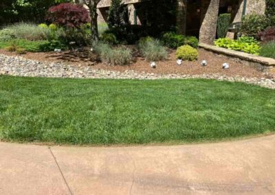 Lawn service 17